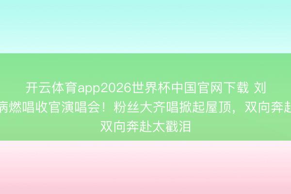 开云体育app2026世界杯中国官网下载 刘宇宁带病燃唱收官演唱会！粉丝大齐唱掀起屋顶，双向奔赴太戳泪