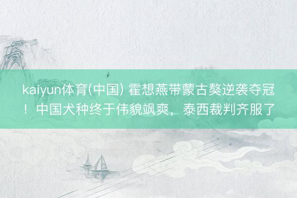 kaiyun体育(中国) 霍想燕带蒙古獒逆袭夺冠!中国犬种终于伟貌飒爽,泰西裁判齐服了